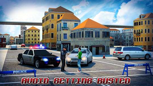 Border Police Adventure Sim 3D screenshot 1