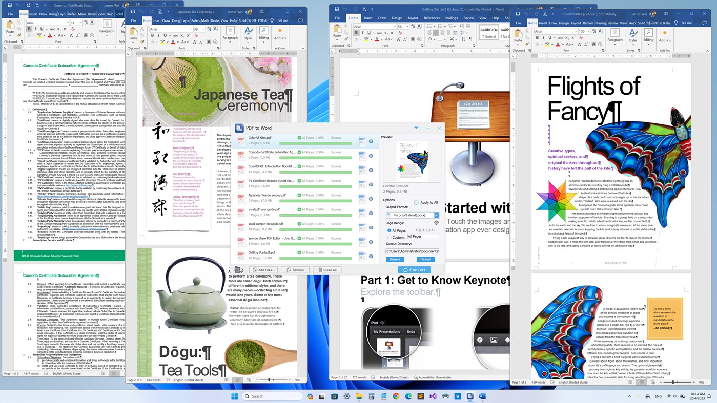 #3. Flyingbee PDF to DOC (Windows) 来自: Flyingbee Software