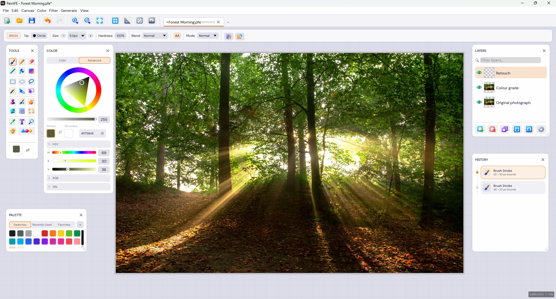 PaintFE screenshot