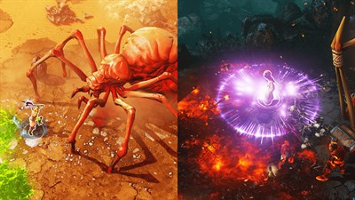 Divinity: Original Sin - Enhanced Edition — скриншот 3