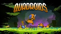 Quadroids