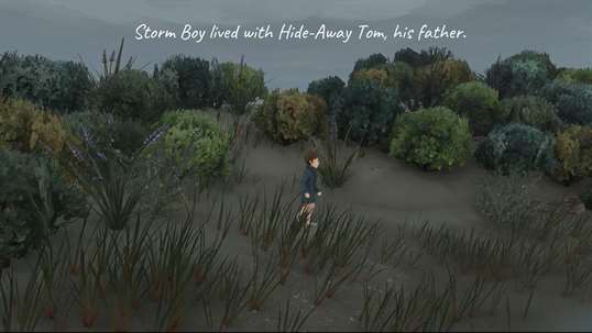 Storm Boy screenshot 1
