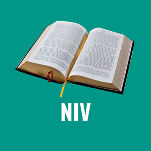 free niv bible download for pc windows 10