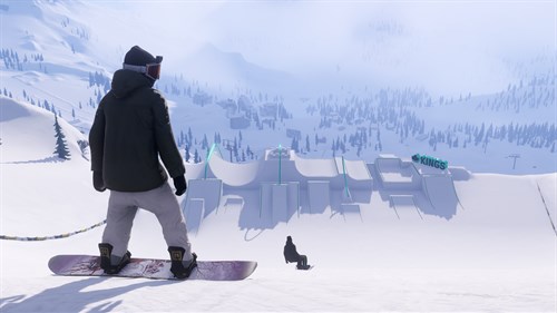Shredders - 540INDY Edition