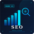 SEO Analyzer Pro