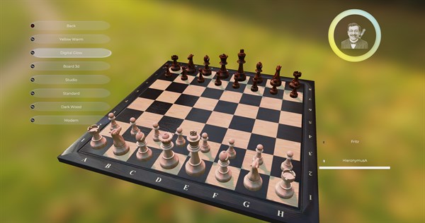 Fritz - Don't call me a chess bot — 12