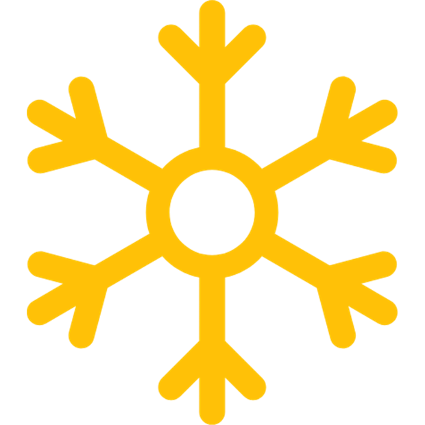 Ice Student