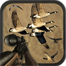 Birds Hunting Sniper Season