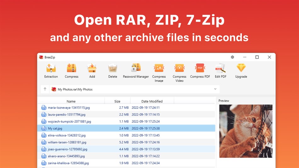 BreeZip: RAR & ZIP Extractor (Windows) بواسطة: BreeZip