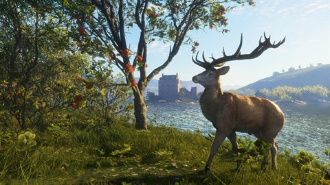 theHunter: Call of the Wild™ - Scotland Hunting Reserve