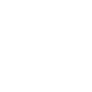 DGA-Reporter icon
