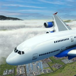Aperçu Airplane Flight Simulator : EVO