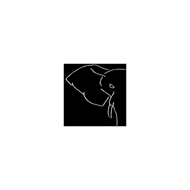 Symbiotic Code Generator