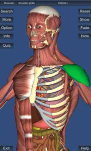 3D Anatomy screenshot 1