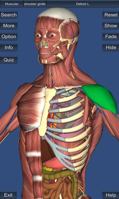 3D Anatomy Screenshots 1