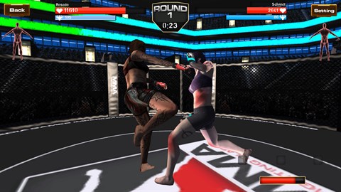 Women's MMA Simulator