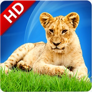 Get Animal Sounds & Ringtones for Kids & Adults - Microsoft Store en-AE
