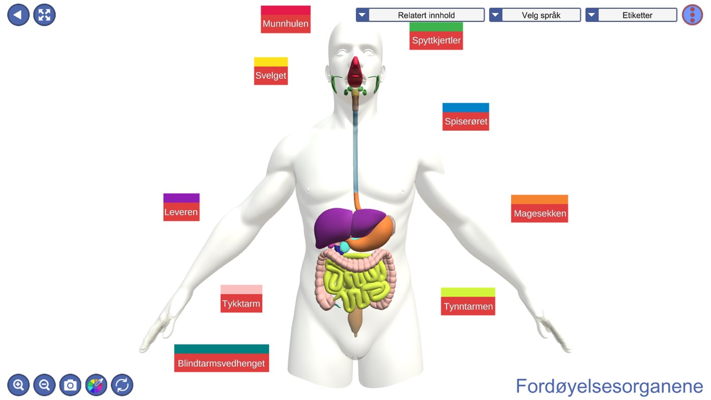 #7. 3DL (Windows) 由: App Studio AS - 3DL