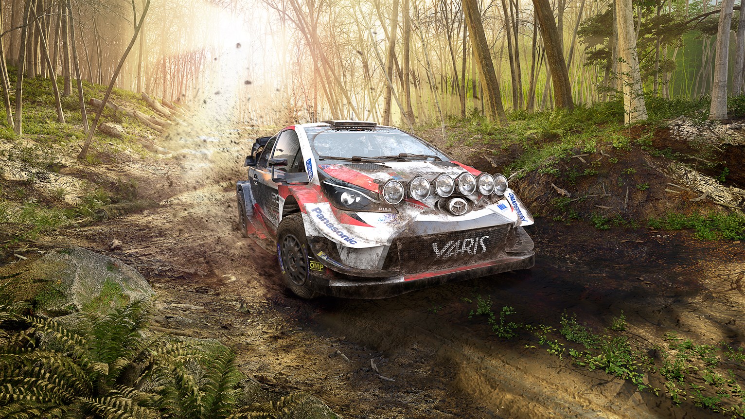 Play WRC 9 FIA World Rally Championship | Xbox Cloud Gaming on