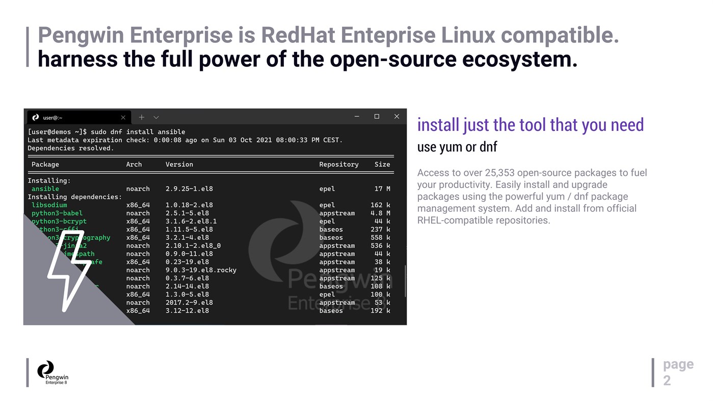 #2. Pengwin Enterprise 8 (Windows) От: Whitewater Foundry