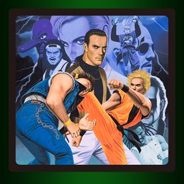 Aperçu ACA NEOGEO ART OF FIGHTING