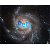 Petx