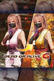 Купить ключ дешево Костюм могучего ниндзя для DOA6. Хоноки