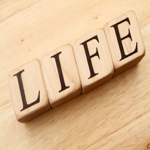 Lessons of life