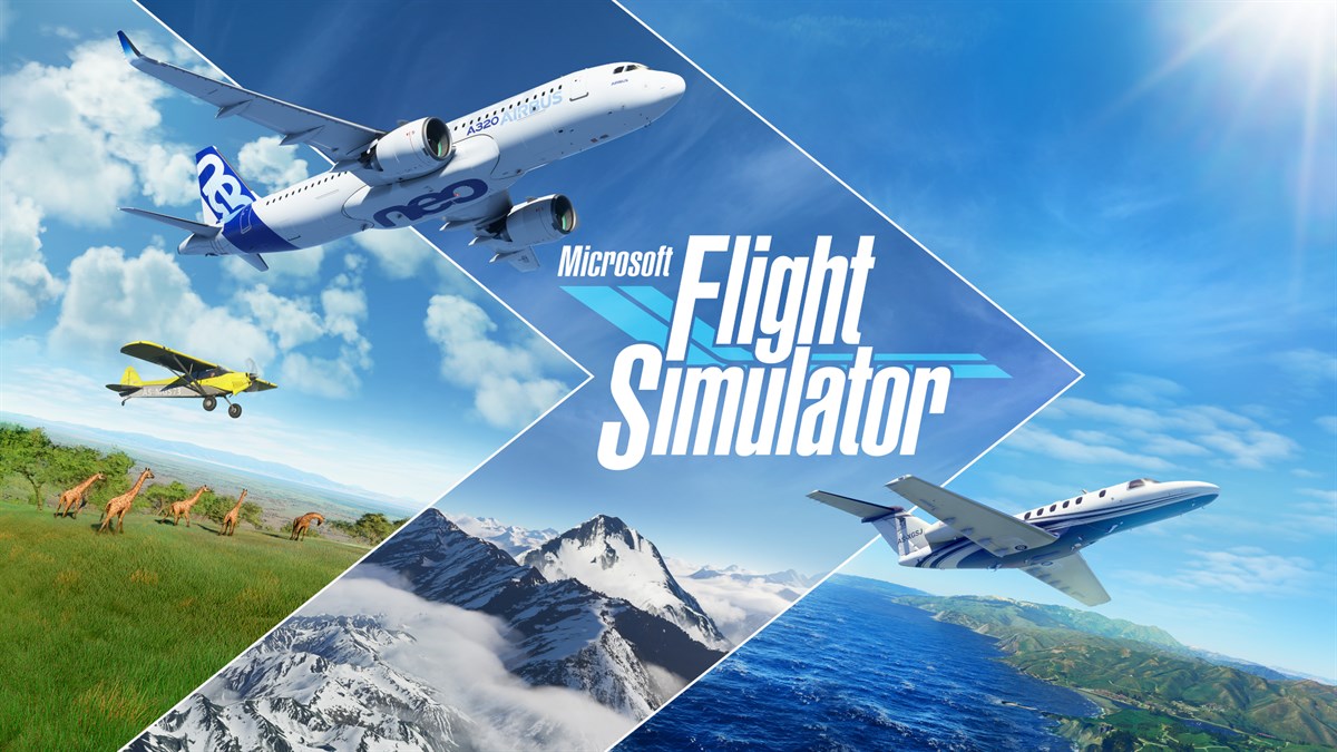 Microsoft Flight Simulator: Add-on Support