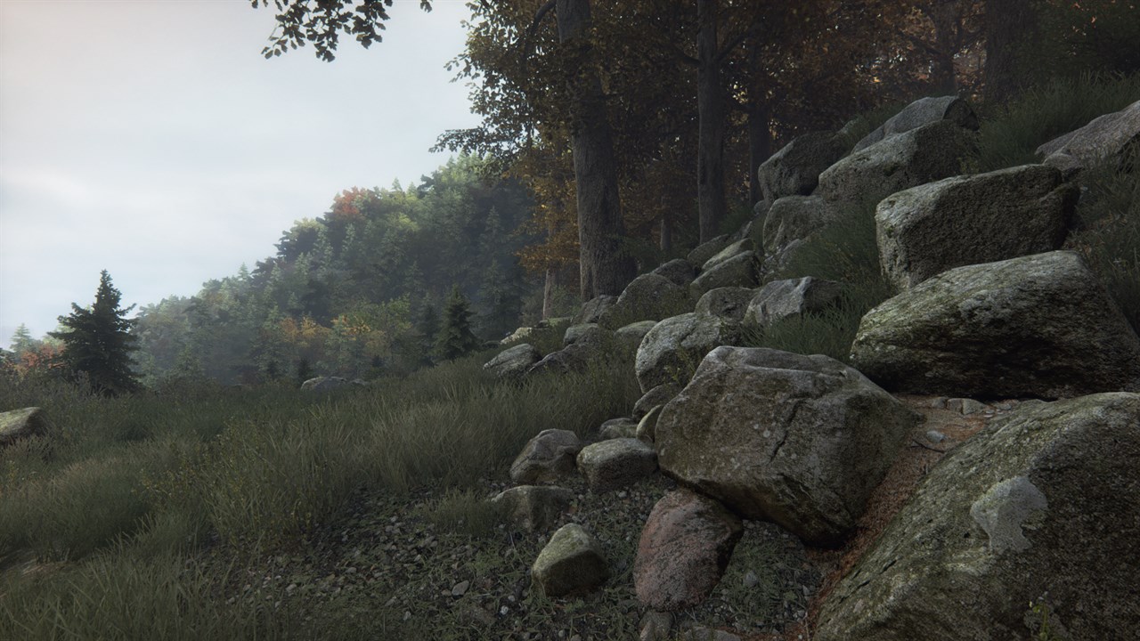 The Vanishing of Ethan Carter screenshot 3