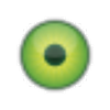 Q-Eye