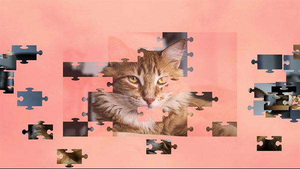 Jigsaw Puzzle Cats — 1