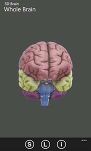 3D Brain screenshot 1