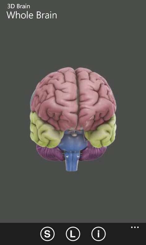 3D Brain Screenshots 1