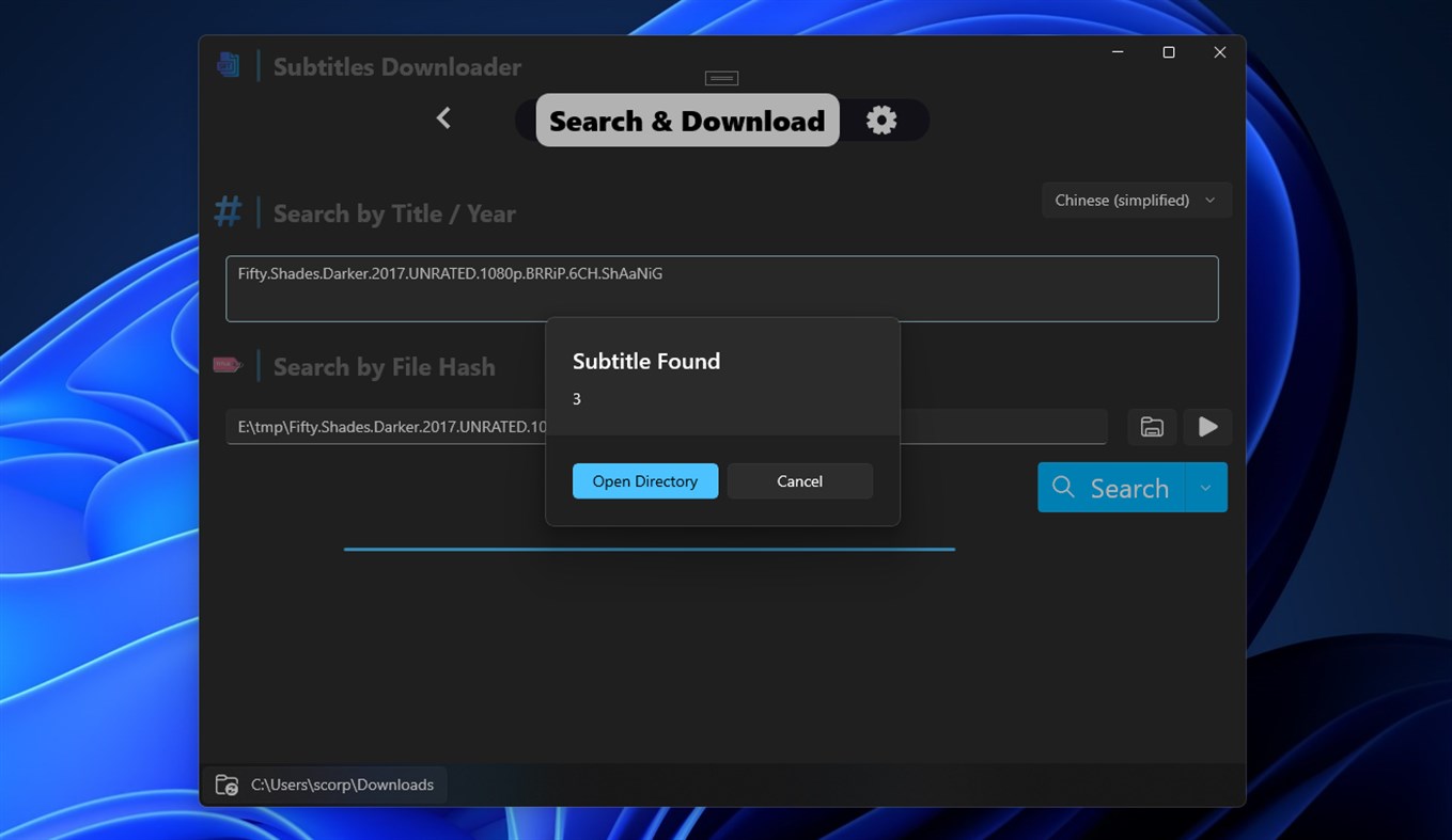 #3. Subtitles Downloader (Windows) Przez: parmata