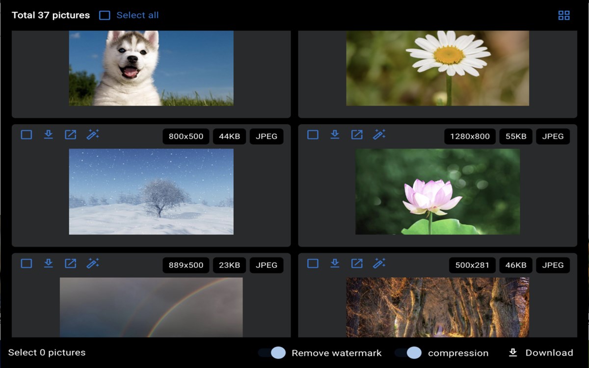 Images Downloader Tools