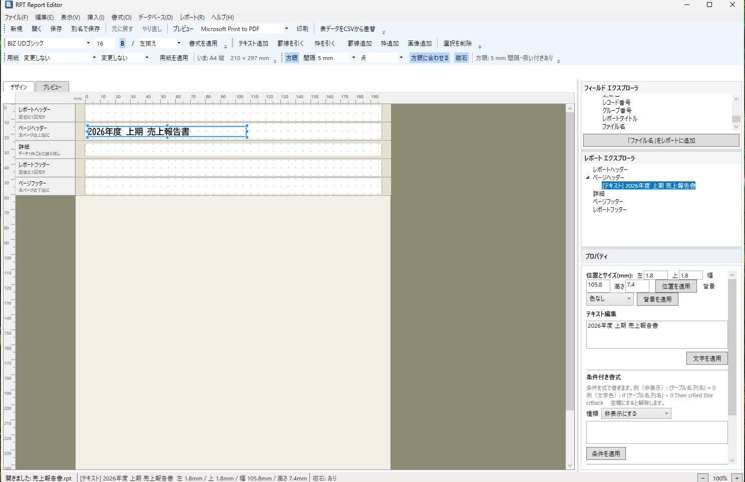 RPT Report Editor screenshot