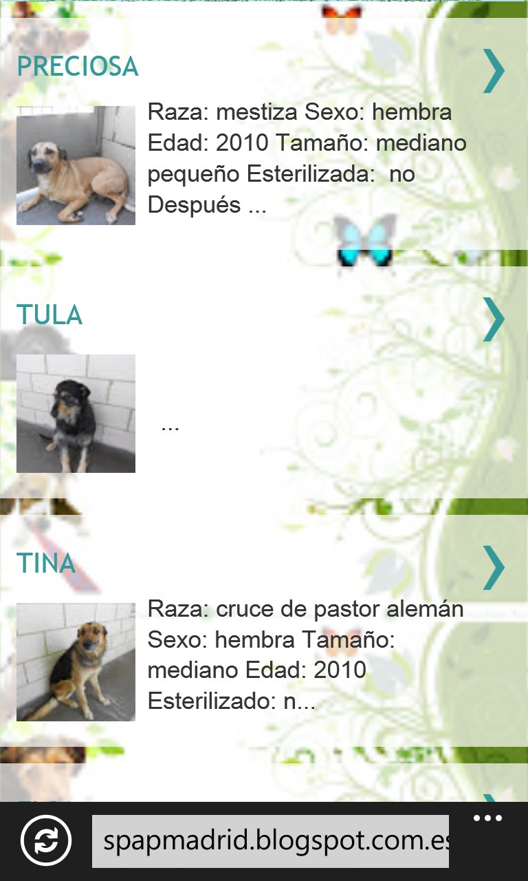 Imágen 4 Adóptame windows