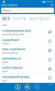 Русско Английский словарь screenshot 4