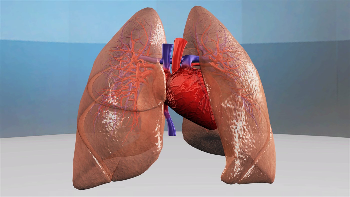 #6. Sensavis Visual Learning Tool (Windows) 由: Sensavis AB