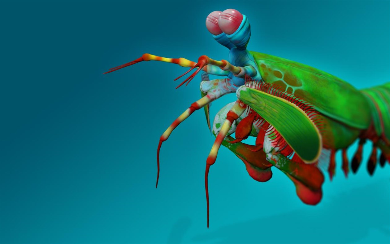 #4. Remix 3D Ocean Life (Windows) Podle: Microsoft Corporation