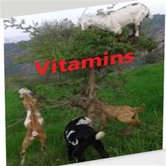 Vitamins Analysis screenshot 1