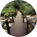 Great Smoky Mountains National Park New Tab icon