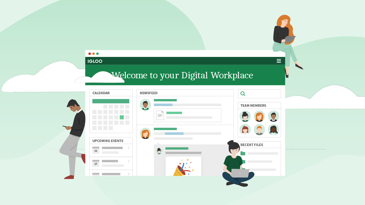 Snapshot 1 of Igloo Software