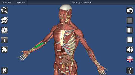 anatomy game download