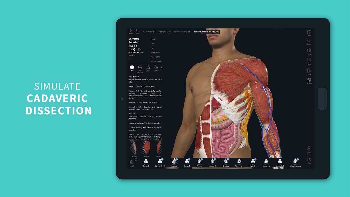 #2. Complete Anatomy 2023 (Windows) 来自: 3D4Medical