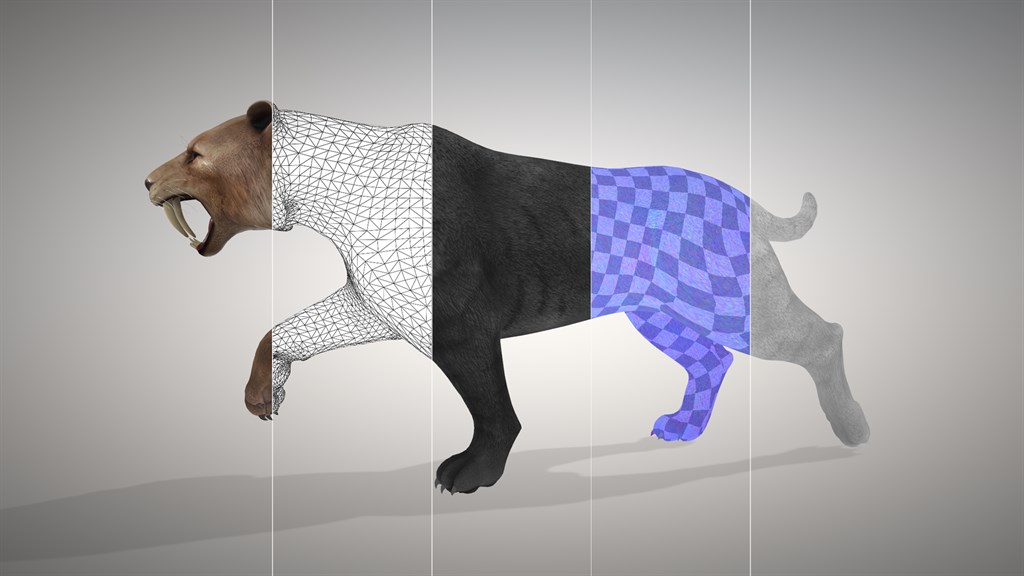 3D Viewer_2