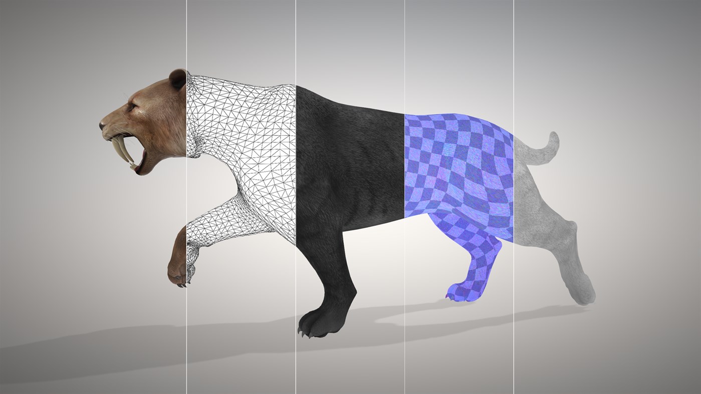 #2. 3D Viewer (Windows) By: Microsoft Corporation