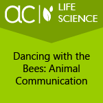 AC Life Science: Dancing with the Bees: Animal Communication
