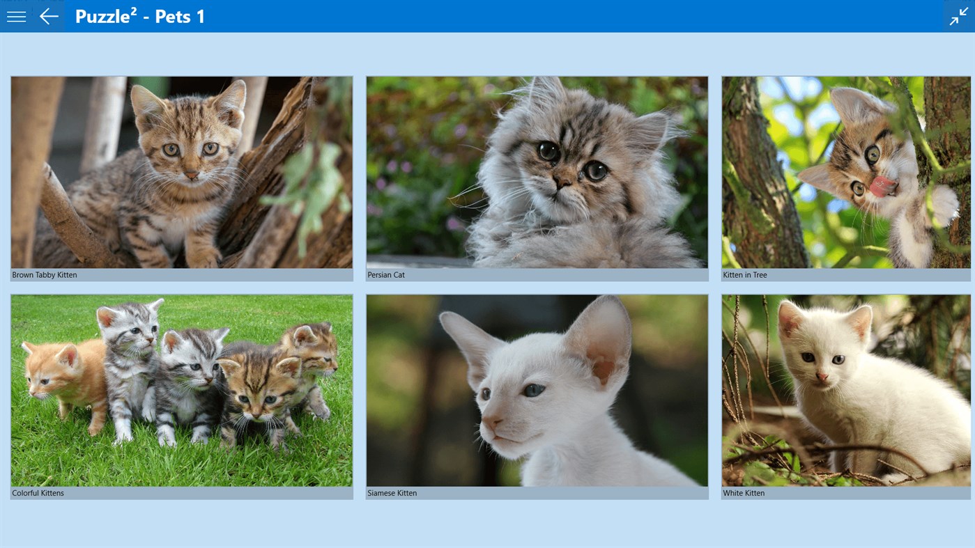 #9. Puzzle² - Pets 1 (Windows) 来自: fonaps.com